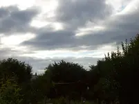 100_2247.webp