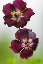 DSC08812(1).webp