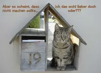 August 2010 080 v.webp