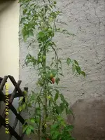 JD500192.webp