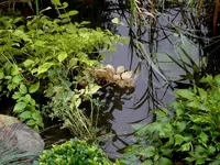 SDC12292.webp