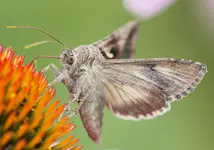 IMG_5454 - Kopie.webp