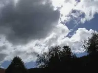 September 2010 479 v.webp