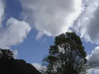 September 2010 480 v.webp
