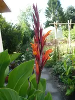 P1020260.webp