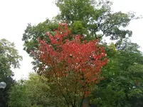 IMG_2896.webp