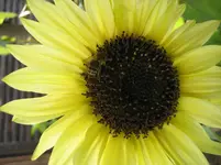 IMG_2901.webp