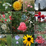 rundgang 2909.webp