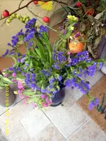 JD500217.webp