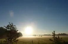 P1060285.webp