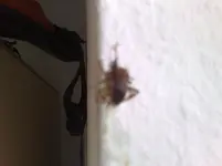 30092010559.webp