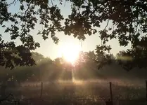 P1060291_2.webp