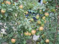 k-IMG_7392.webp