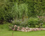 PA010001.webp