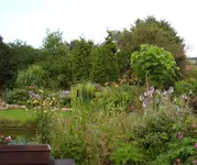 PA010005.webp