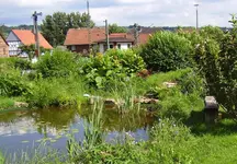 PA010003.webp
