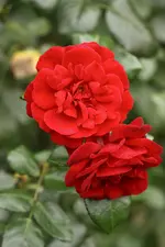 IMG_8090.webp