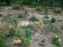 004.webp
