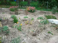 005.webp