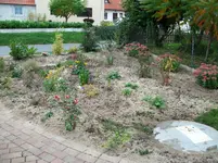 006.webp
