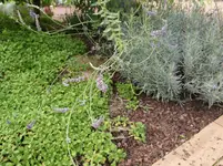 P9305920.webp
