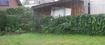 neu1.webp