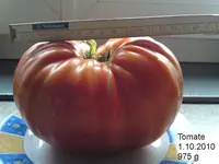 tomate1.webp