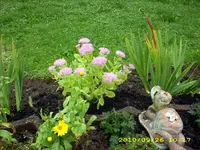 JD500185.webp