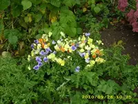 JD500195.webp