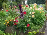 JD500202.webp
