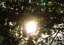 P1060207.webp