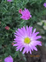 Bild 166.webp