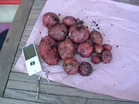 DSCF0005.webp
