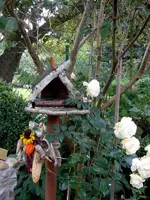 SDC12340.webp