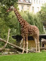IMG_8206.webp