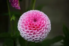 comp_IMG_5440.webp