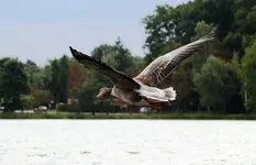 comp_IMG_53581.webp