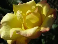 027.webp