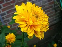 1024_Frage II.webp