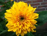 1024_Frage III.webp