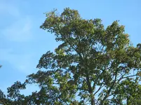 IMG_2578.webp