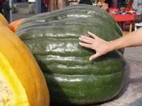PA035998.webp