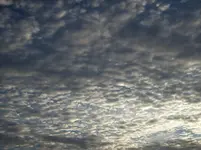 100_2282.webp