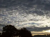 100_2288.webp