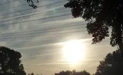 P1060208.webp