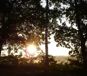 P1060211.webp