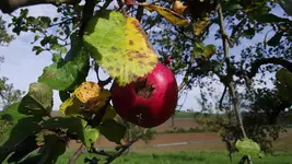 DSCF3854.webp