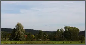 Auf zu KiMi.webp