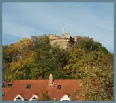 Fahrt zum Bauernamarkt (2).webp