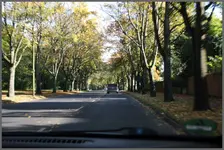 Lotse  KiMi.webp